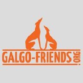Galgo Freunde
